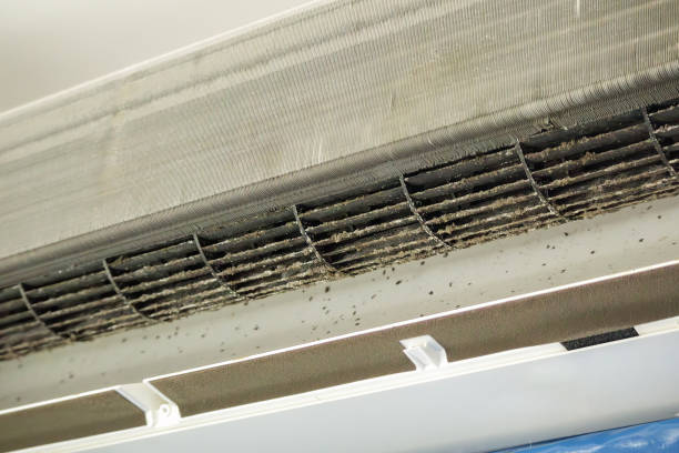 Air Duct Mold Removal in Ridley Park, PA